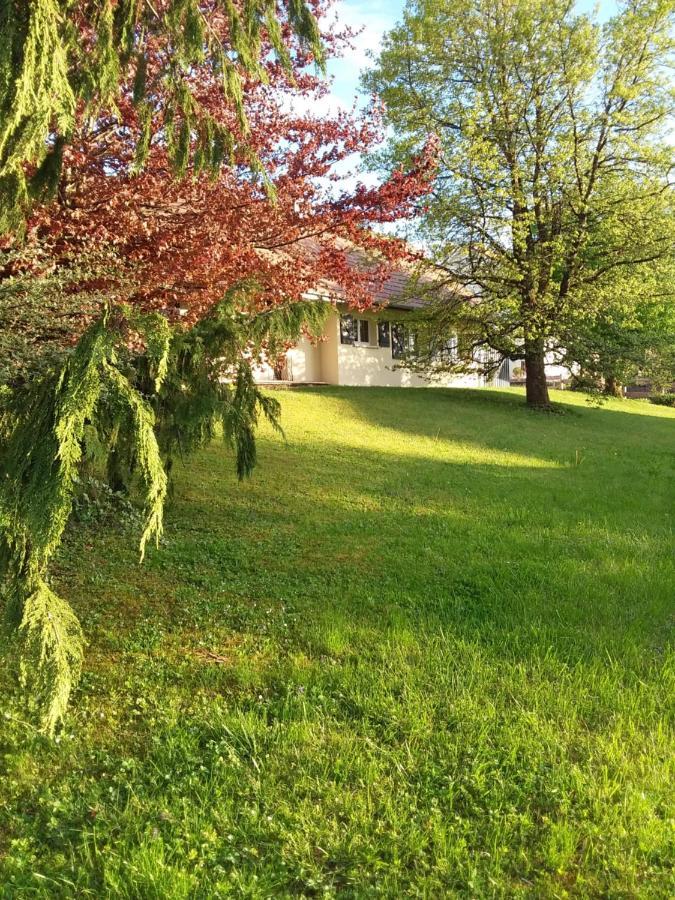 Le Grive Bed & Breakfast Chevremont Dış mekan fotoğraf