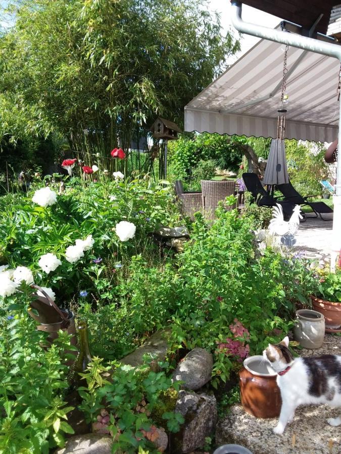 Le Grive Bed & Breakfast Chevremont Dış mekan fotoğraf