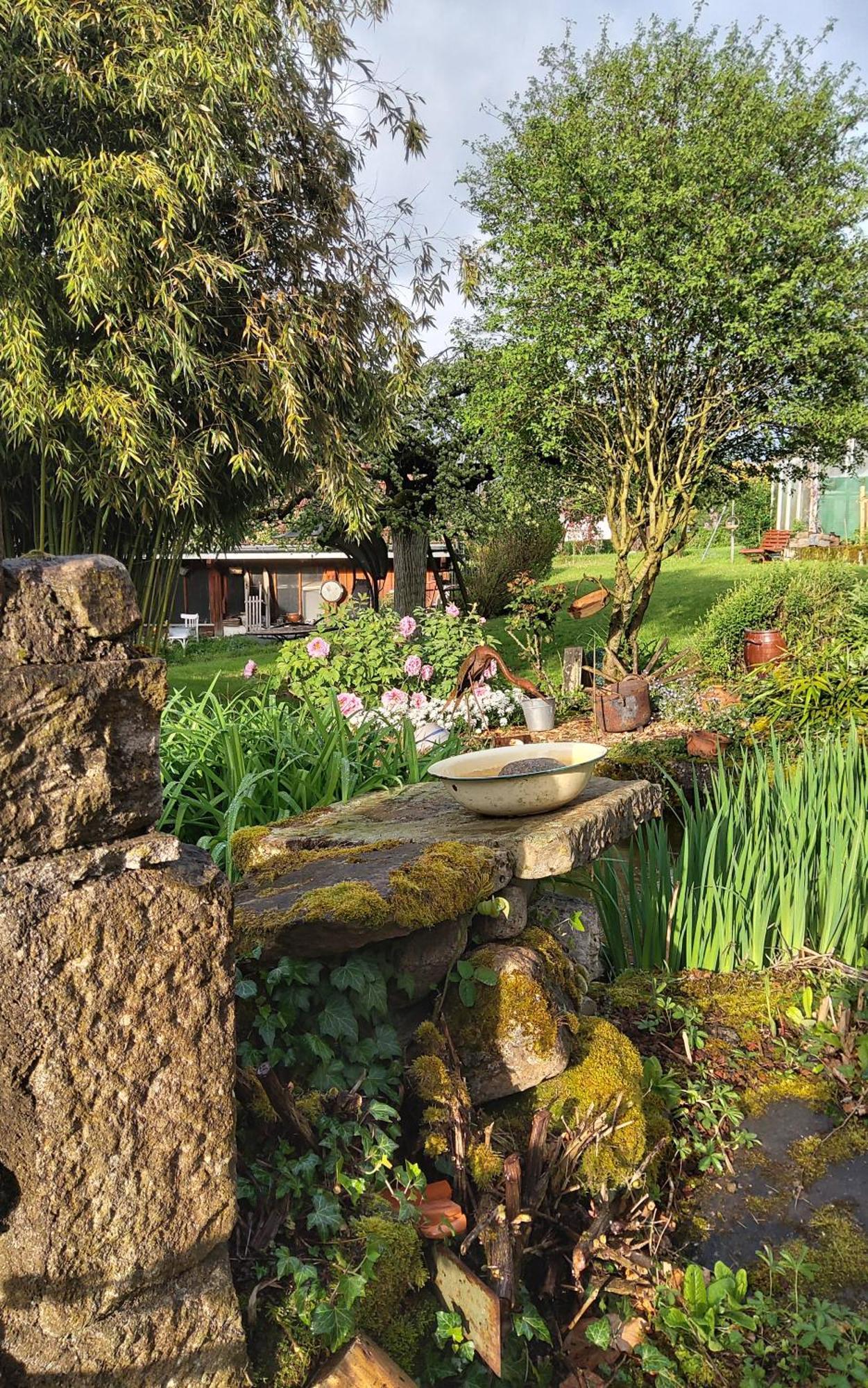 Le Grive Bed & Breakfast Chevremont Dış mekan fotoğraf